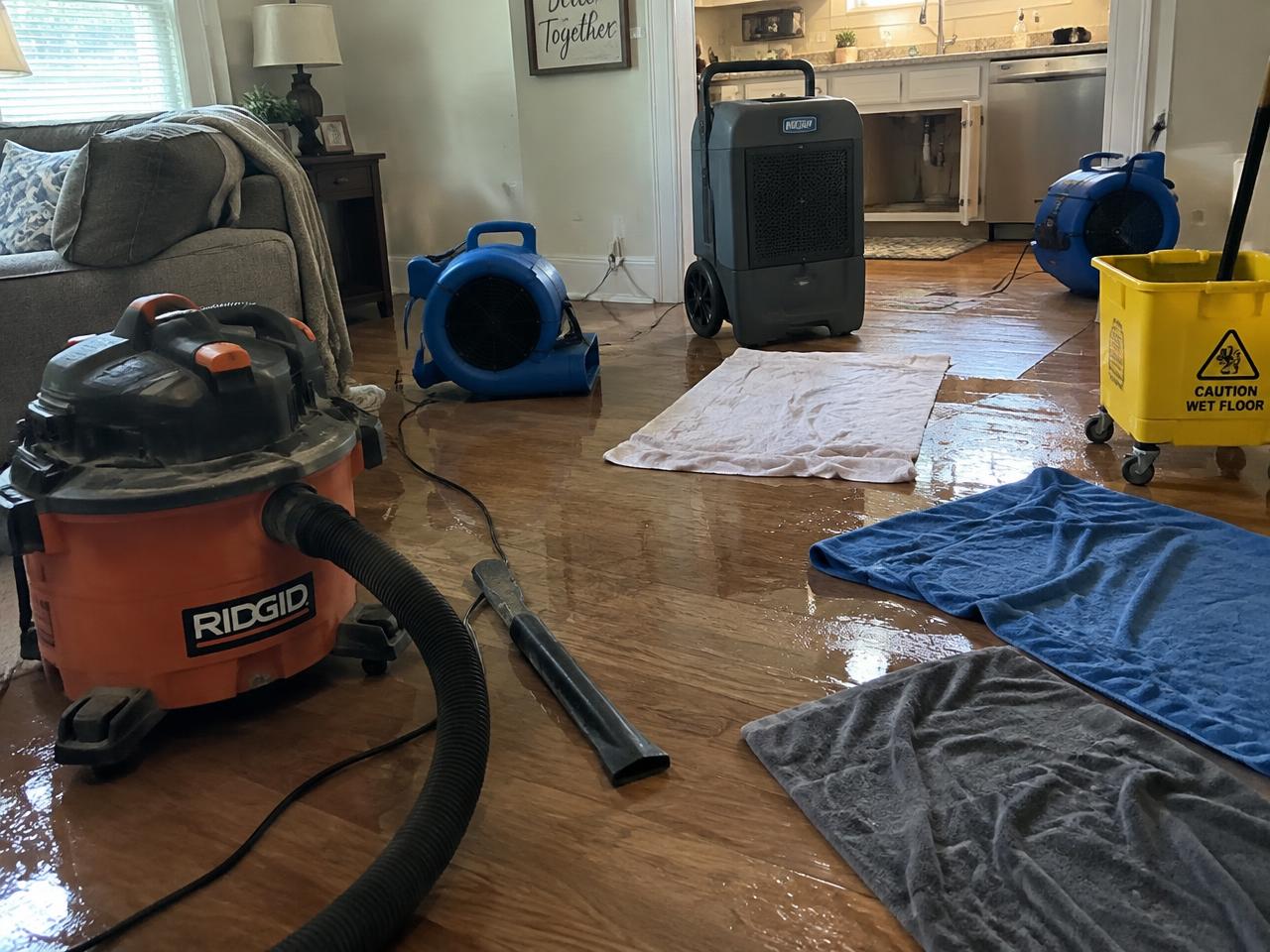 Emergency Cleaning